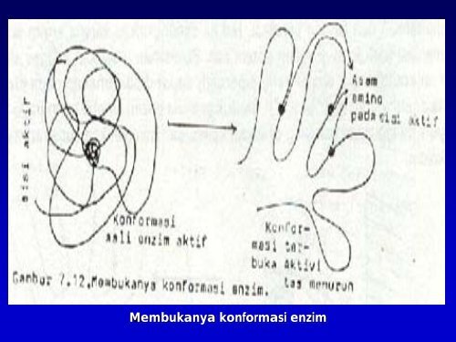 TEKNOLOGI PRODUKSI ENZIM MIKROBIAL