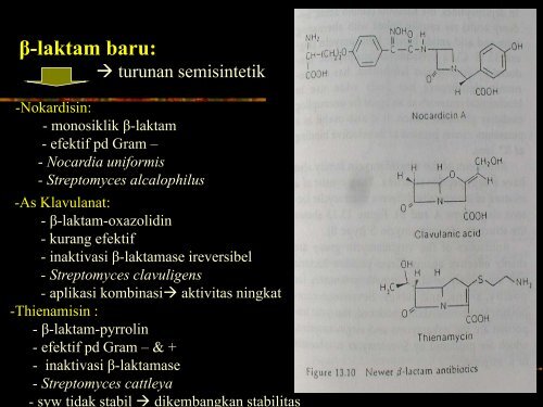 Mikroba Penghasil Antibiotik