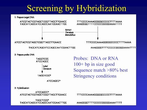 Recombinant DNA Technology