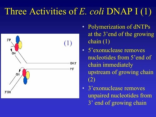 Recombinant DNA Technology