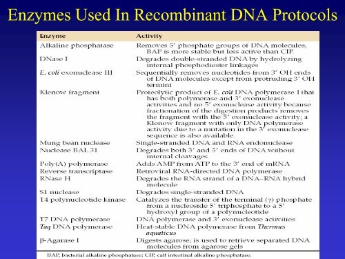 Recombinant DNA Technology