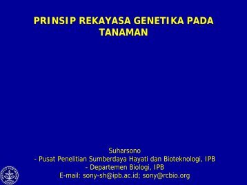 PRINSIP REKAYASA GENETIKA PADA TANAMAN