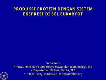 PRODUKSI PROTEIN DENGAN SISTEM EKSPRESI DI SEL EUKARYOT