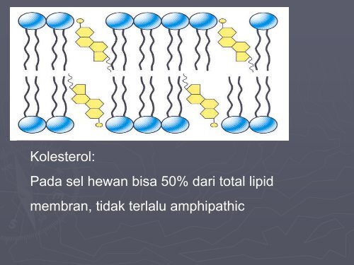 Kuliah 1 Membran