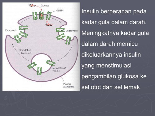 Kuliah 1 Membran