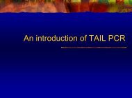 An introduction of TAIL PCR