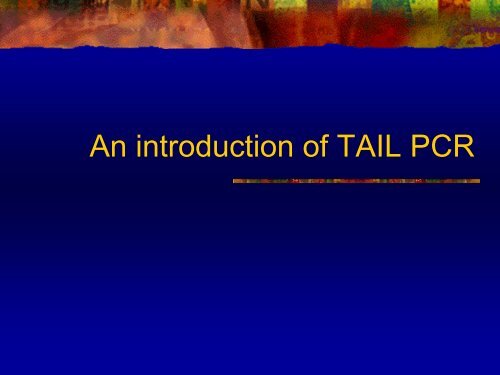 An introduction of TAIL PCR