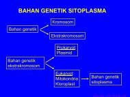BAHAN GENETIK SITOPLASMA
