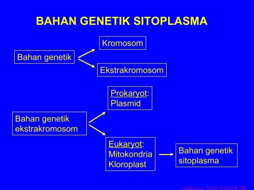 BAHAN GENETIK SITOPLASMA