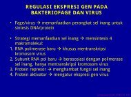 BAKTERIOFAGE DAN VIRUS