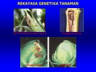 REKAYASA GENETIKA TANAMAN