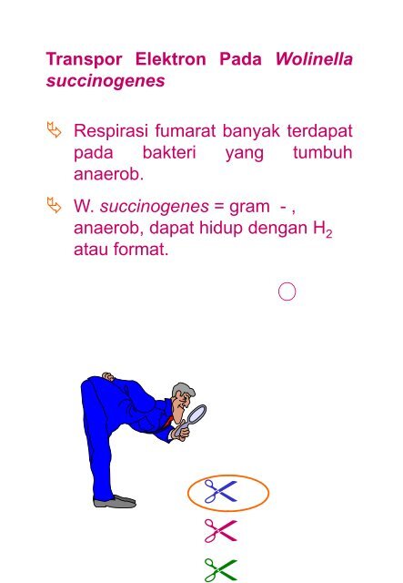 Kuliah 4 Transpor elektron anaerob