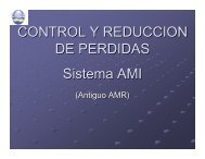 CONTROL Y REDUCCION DE PERDIDAS Sistema AMI