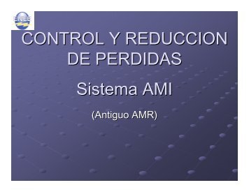 CONTROL Y REDUCCION DE PERDIDAS Sistema AMI