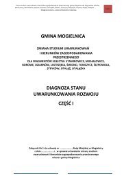 GMINA MOGIELNICA DIAGNOZA STANU UWARUNKOWANIA ROZWOJU CZĘŚĆ I