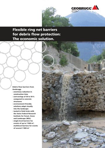 Flexible ring net barriers for debris flow protection ... - Geobrugg AG