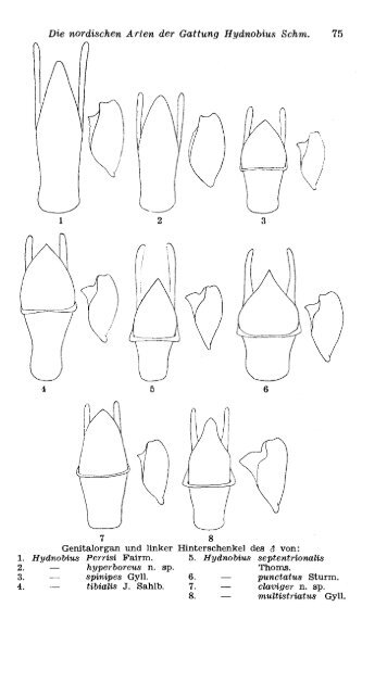 og Nord-Florge (WxM cm) - Norsk entomologisk forening