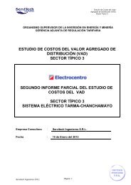 Segundo informe parcial. - Distriluz