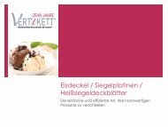 Broschüre Eisdeckel V