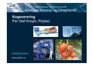 Kogenerering Per Olaf Knoph Polytec