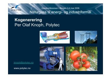 Kogenerering Per Olaf Knoph Polytec