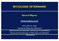 MYCOLOGIE VETERINAIRE