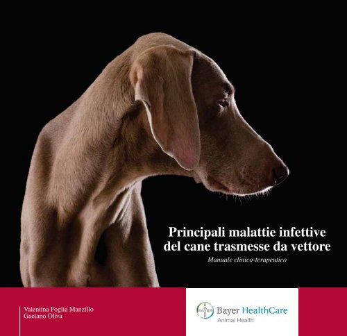 Principali malattie infettive del cane trasmesse da vettore