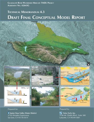 DRAFT FINAL CONCEPTUAL MODEL REPORT