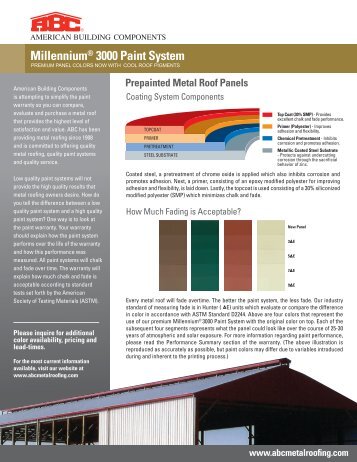 Millennium 3000 Paint System