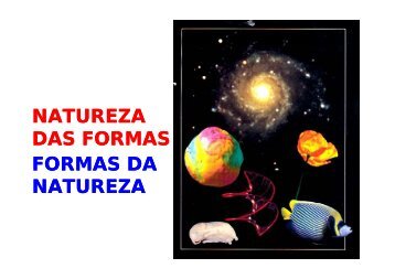 NATUREZA DAS FORMAS FORMAS DA NATUREZA