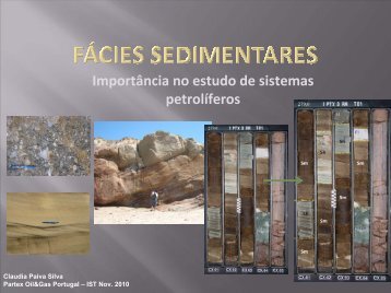 Importância no estudo de sistemas petrolíferos