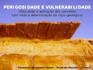 PERIGOSIDADE E VULNERABILIDADE