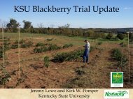 KSU Blackberry Trial Update