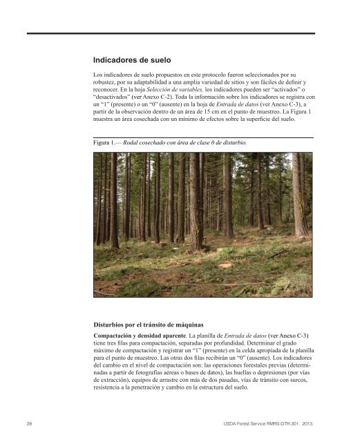 Protocolo Para La Evaluación De Disturbios En Suelos Forestales