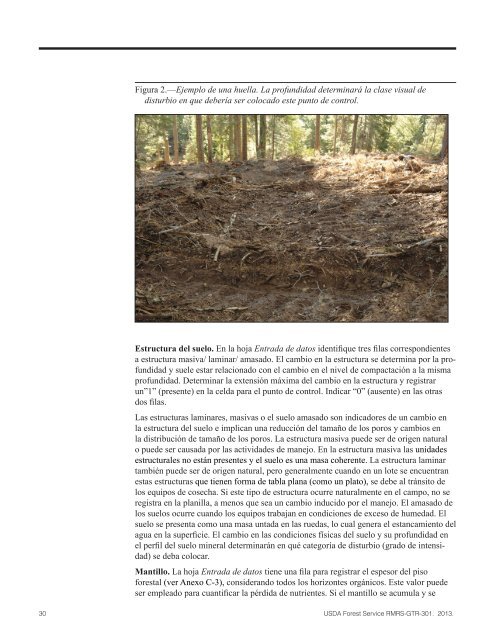 Protocolo Para La Evaluación De Disturbios En Suelos Forestales