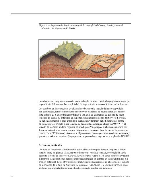 Protocolo Para La Evaluación De Disturbios En Suelos Forestales