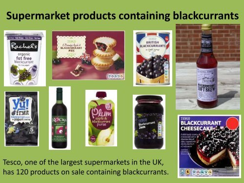 Growing and Marketing blackcurrants in the U.K – A growers perspective