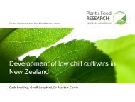 Development of low chill cultivars in New Zealand