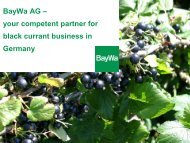 BayWa AG – your competent partner for black currant business in Germany