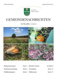 Gemeindezeitung_201503