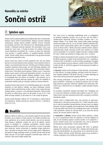 Sončni ostriž