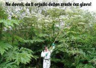 Ne dovoli da ti orjaški dežen zraste čez glavo!