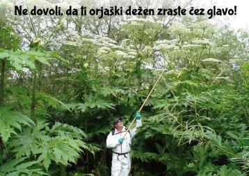 Ne dovoli da ti orjaški dežen zraste čez glavo!