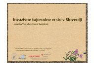 Invazivne tujerodne vrste v Sloveniji