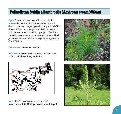 Priročnik za sistematično kartiranje invazivnih tujerodnih rastlinskih vrst