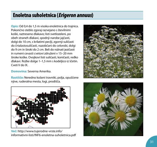 Priročnik za sistematično kartiranje invazivnih tujerodnih rastlinskih vrst