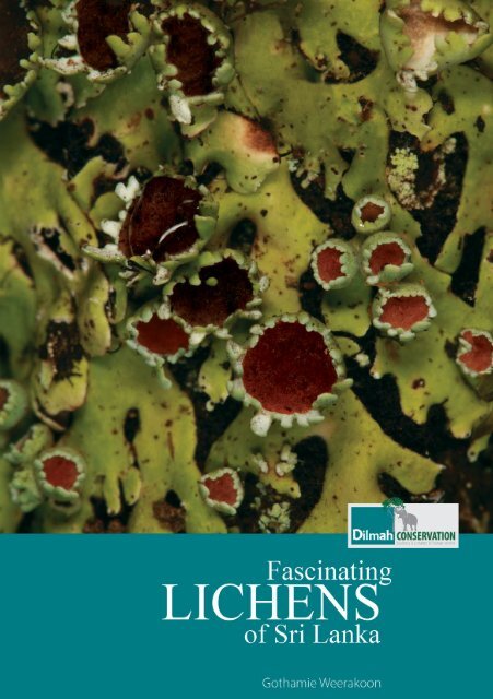 Fascinating Lichens of Sri Lanka