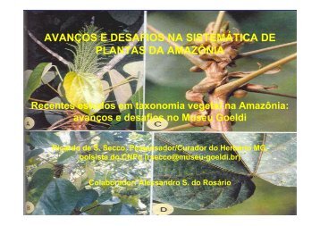 AVANÇOS E DESAFIOS NA SISTEMÁTICA DE PLANTAS DA AMAZÔNIA