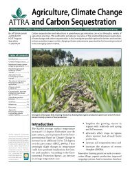 Agriculture Climate Change and Carbon Sequestration