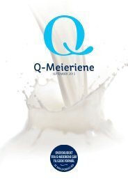 Q-Meieriene